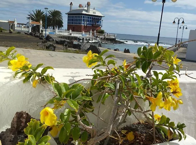 公寓 Terraza Del Mar 阿列塔